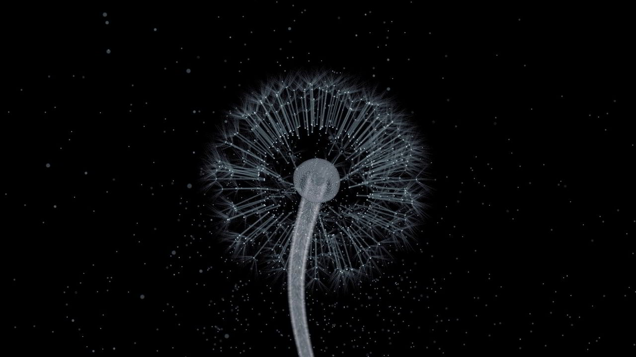 New Blender video commercial - Dream dandelion Blender